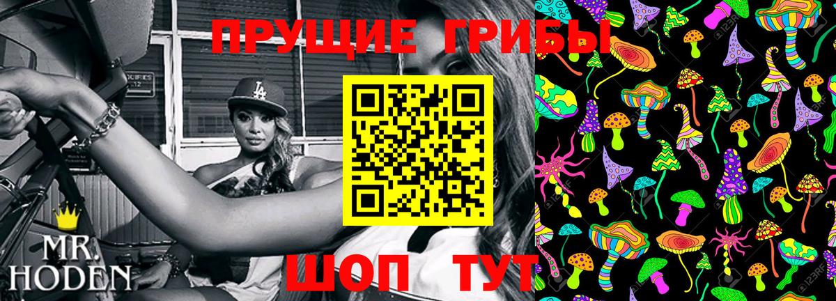 Псилоцибиновые грибы прущие грибы Славянск-на-Кубани