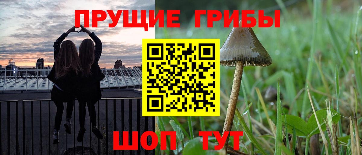 Славянск-на-Кубани  Галлюциногенные грибы MAGIC MUSHROOMS  хочу   Псилоцибиновые грибы мухоморы  Вход с VPN 