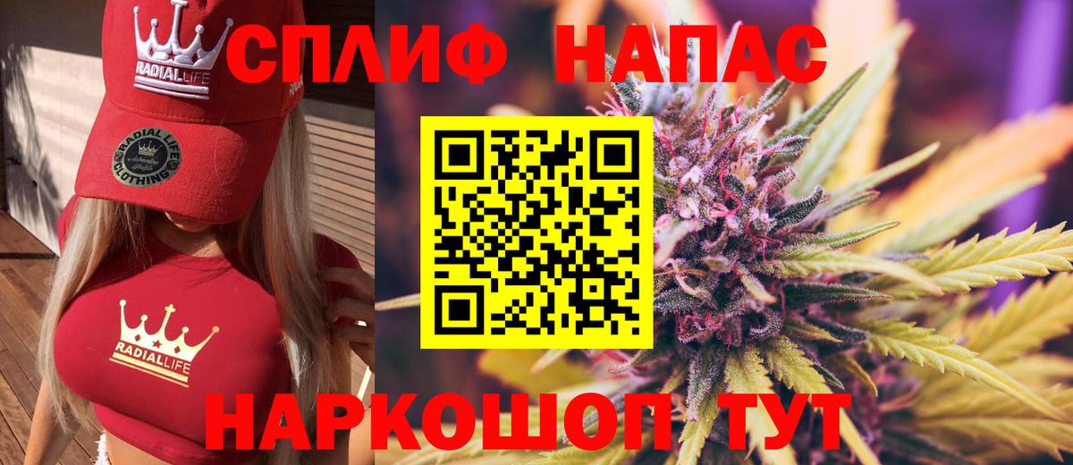 Шишки марихуана сатива  Канабис план  Славянск-на-Кубани  Бошки Шишки марихуана  Вход с VPN  Конопля планчик 